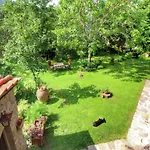 In Prázdninový dům