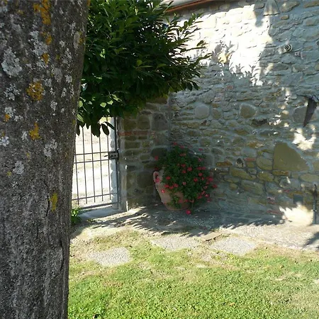 In Cortona